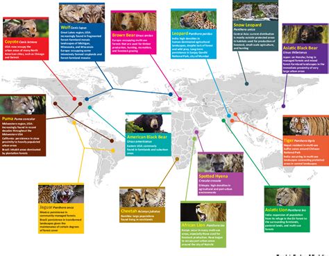 Figure 1 from Co-Adaptation Is Key to Coexisting with Large Carnivores. | Semantic Scholar