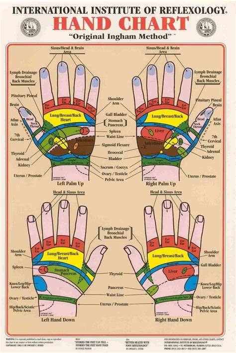 Hand Chart ~ Original Ingham Method of Reflexology [Wall Chart]: Eunice ...