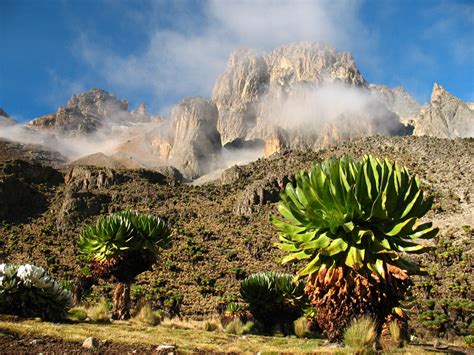 Mount Kenya National Park wildlife location in Kenya, Africa | Wildlife Worldwide