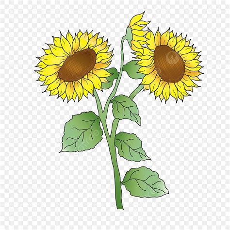 Art & Collectibles Clip Art Hand Drawn Sunflower Clip Art PNG Digital ...