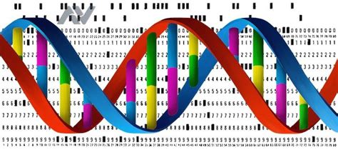 DNA Data Storage - Synthetic DNA - Future Of Storage | | Data storage, Internet technology ...