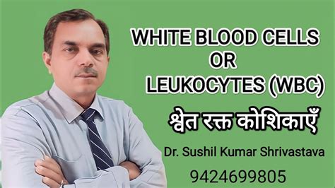 WHITE BLOOD CELLS OR LEUKOCYTES (WBC) श्वेत रक्त कोशिकाएँ - YouTube