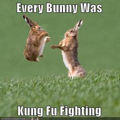 25 Everybody was kung fu fighting! ideas | kung fu fighting, kung fu ...