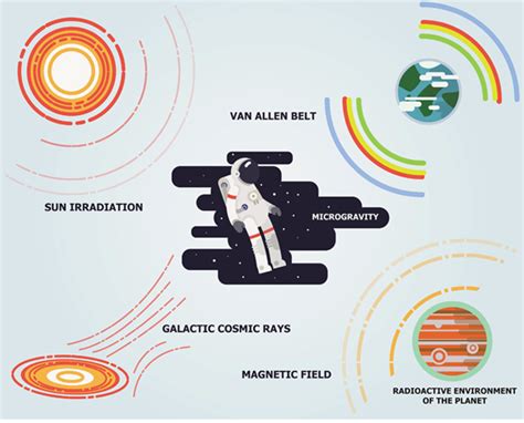 Vive la radiorésistance!: converging research in radiobiology and ...