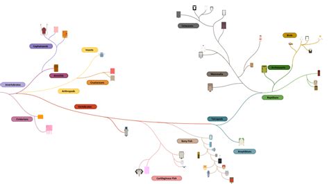 Deeeep.io evolution tree : r/deeeepio