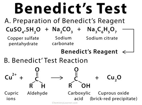 Benedict’s Test- Objectives, Principle, Procedure, Results - RecNotes