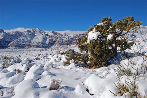 Winter in Red Rock Canyon Near Las Vegas. Nevada. Stock Photo - Image ...