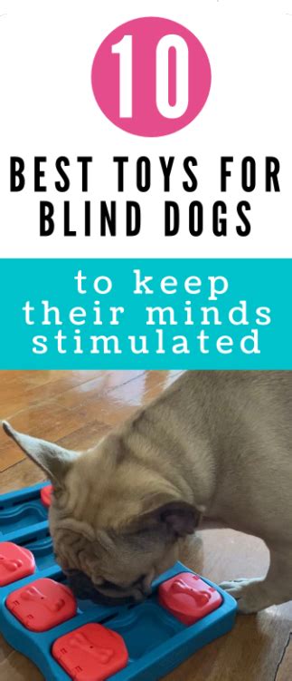 Blind Paws | The 10 Best Toys for Blind Dogs