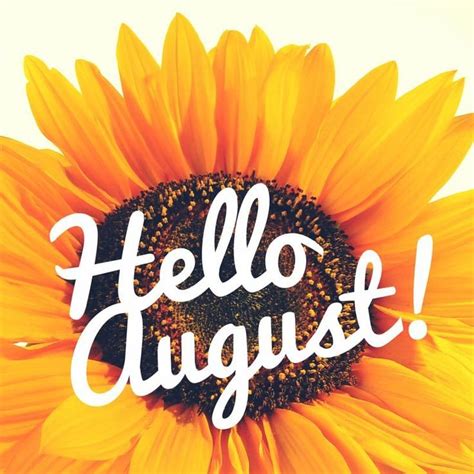 August - feel free to pin as many as you want | Hello august images, Hello august, August images