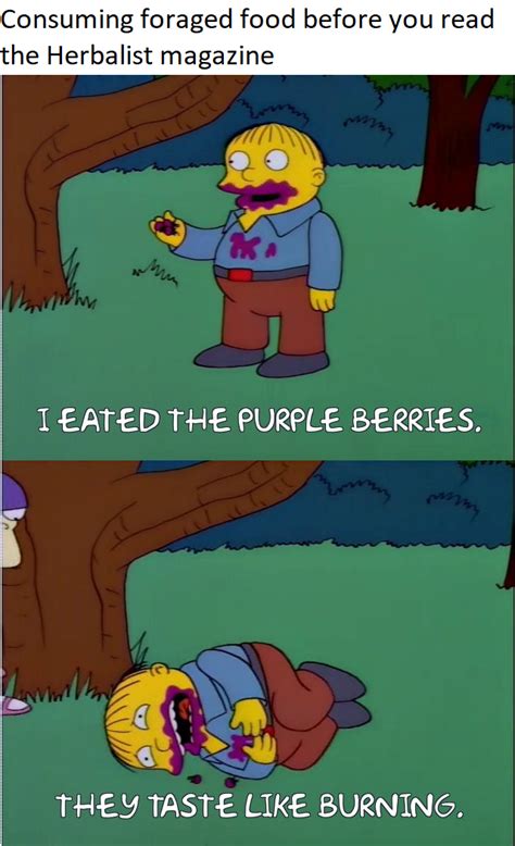 Posting a Simpsons related Project Zomboid meme every day until I don't ...