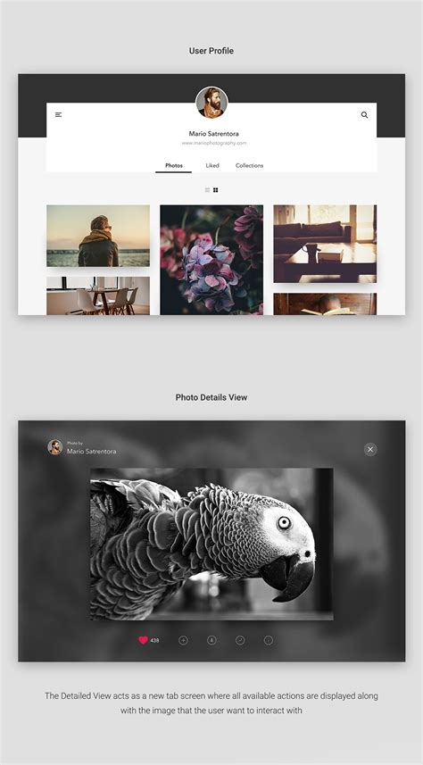 Unsplash Redesign Concept | Web design inspiration, Redesign, Website redesign