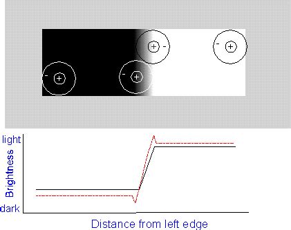 Mach band explanation figure