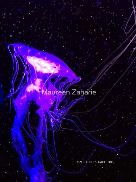 "JELLYFISH GLOW" by Maureen Zaharie | Redbubble