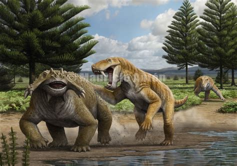 PALEOAMIGOS "DIVULGACION PALEONTOLOGICA": EL PERMICO