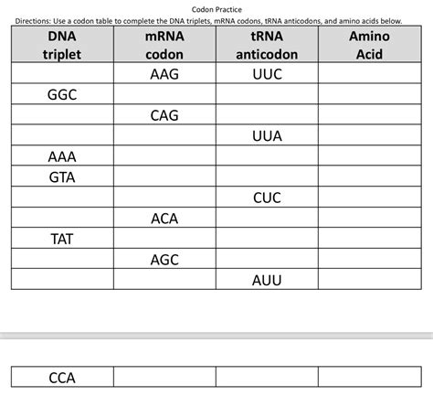 Worksheet Dna Codon And Anticodon