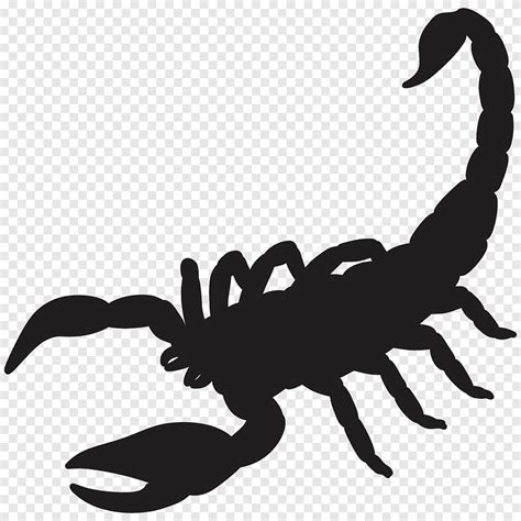 Dessin De Silhouette De Scorpion Scorpion Logo Insectes Png Pngegg ...