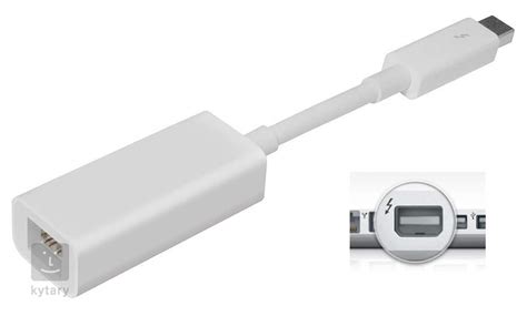 APPLE Thunderbolt to FireWire Adapter Adapter | Kytary.ie