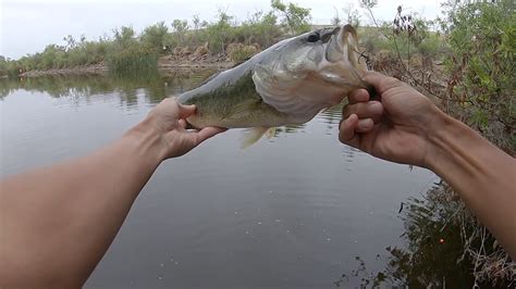 Whopper Plopper Fish #2 - YouTube