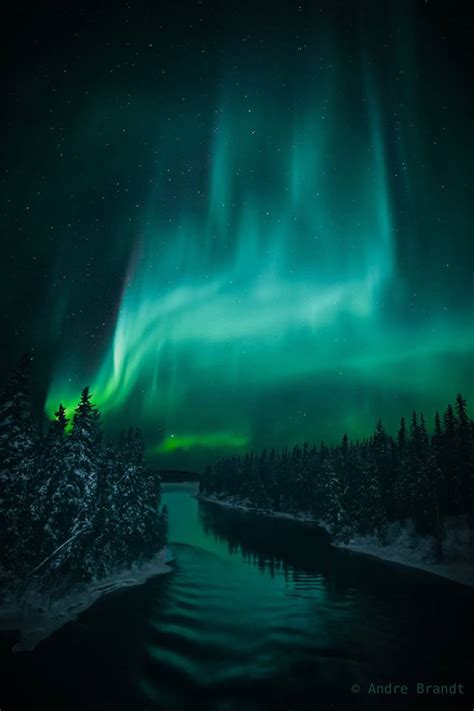 Unique Churchill Northern Lights | Churchill Polar Bears