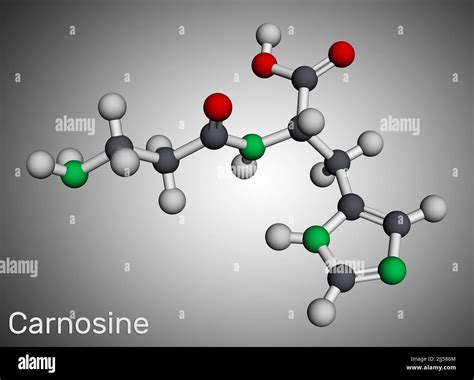 Carnosine dipeptide molecule. It is anticonvulsant, antioxidant ...