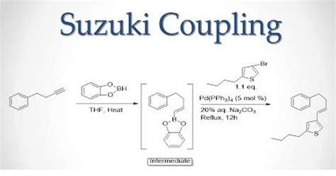 Suzuki reaction - an organic reaction - Assignment Point