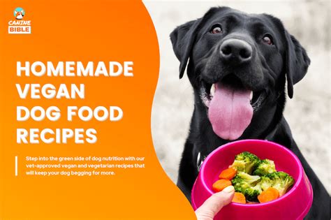 Homemade Vegan Dog Food: 10 Vet-Approved Recipes, Ingredients & Diet Plan - Canine Bible