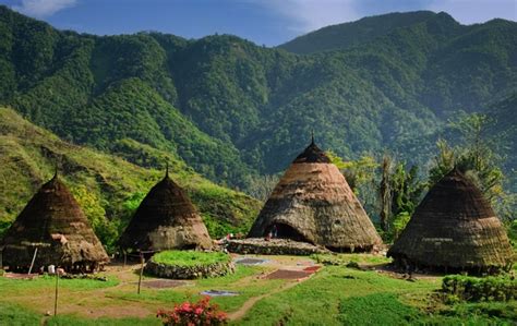 Wae Rebo Village | Discovery Komodo Adventure I Komodo Tour Package I Flores island tour I ...