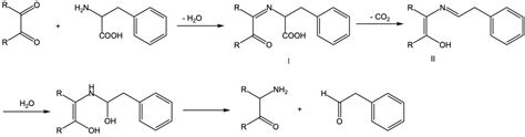 Study on the Mechanism of Phenylacetaldehyde Formation in a Chinese Water Chestnut-Based Medium ...