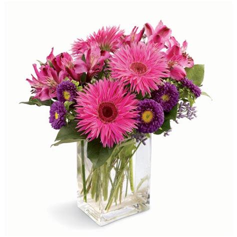 Hot Pink Daisy Bouquet at Send Flowers