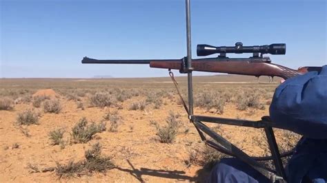 Springbuck hunting at Karoo Experience - YouTube