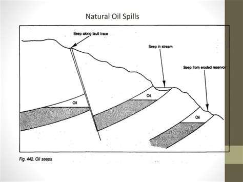 Petroleum Geology | PPT