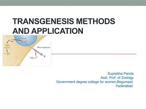 Transgenesis methods and applications | PPT