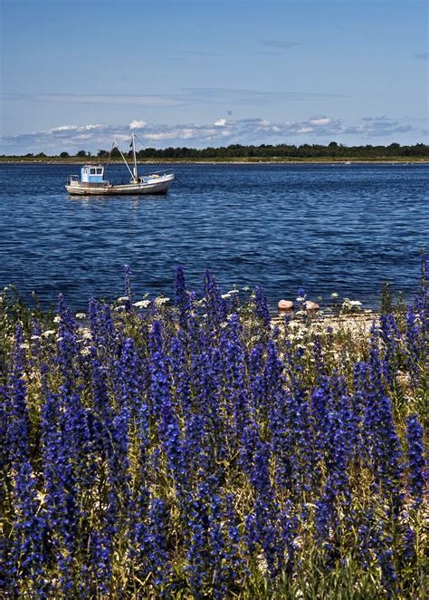 Southern of Saaremaa, Sääre 001 | Saaremaa, Landscape, Natural landmarks