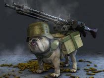 war pug - Meme Guy