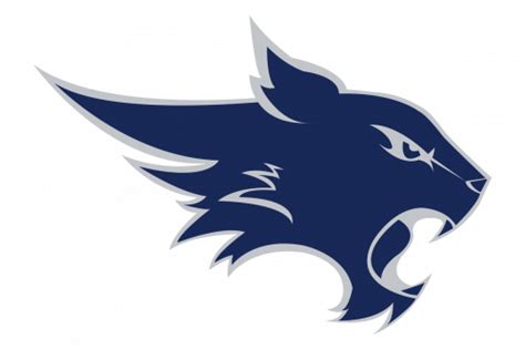 Tomball Memorial Wildcats | Texas HS Logo Project