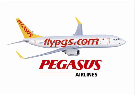 Companhias Aéreas De Pegasus 737 800 Modelo 3D TurboSquid 1246107 ...