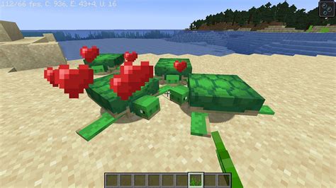 Turtle eggs in Minecraft: All you need to know