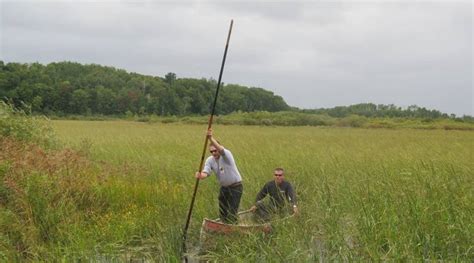 Passing on a tradition of wild rice harvest in northern Minnesota ...