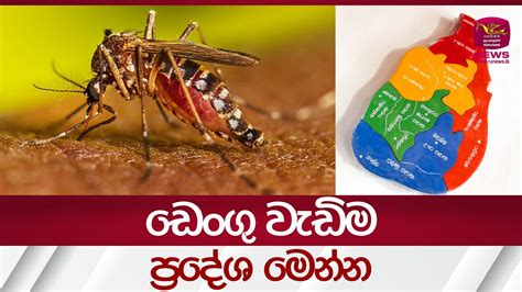 ඩෙංගු වැඩිම ප්‍රදේශ මෙන්න | Rupavahini News - YouTube