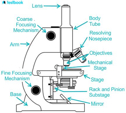 Simple Microscope: Definition, Diagram, Parts, Working, Uses