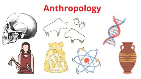 What is Anthropology - Definition and Overview - Research Method