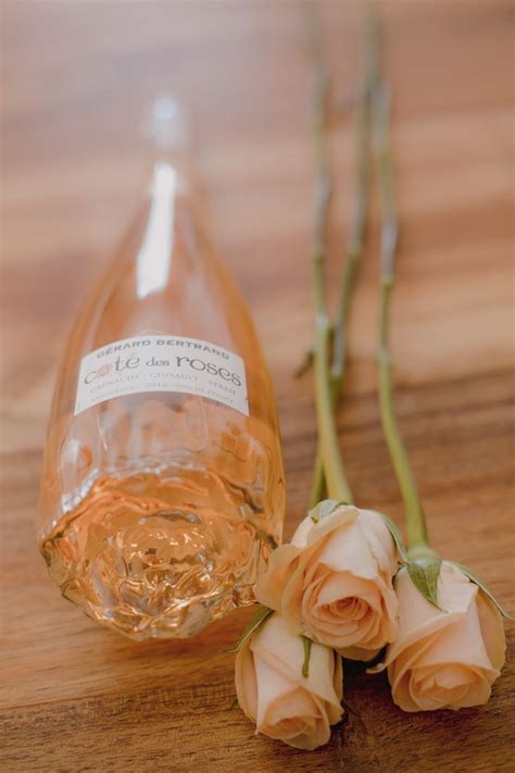 French Rosé | French rose wine, French rose, France wine