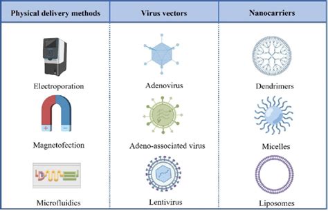 Classification of CRISPR/Cas9 delivery methods. | Download Scientific ...