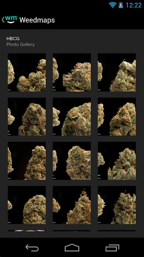 Weed Maps – Marijuana Strains – Applications Android sur Google Play