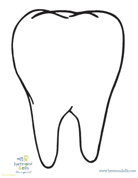 Tooth Coloring Pages Ready to Print | Warna, Lembar mewarnai, Posting