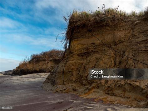 Close Up Photo Of Significant Beach Dune Erosion Stock Photo - Download ...