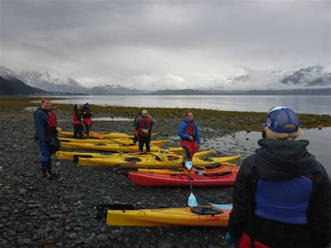 Kayaking in Seward, Alaska | Miller's Landing