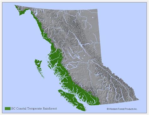 Hinterland Who's Who - Coastal Rainforest