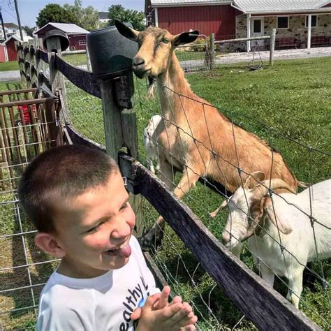 Your Kids Must Visit These Fun Farms—All Within an Hour of Philadelphia