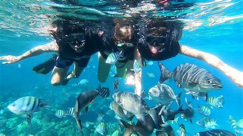 Snorkeling Tour Varadero - All You Need to Know BEFORE You Go - Updated 2021 (Cuba) - Tripadvisor